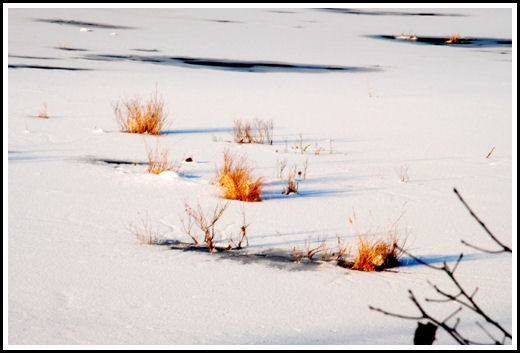 Meadow Pond in Winter, Massachusetts