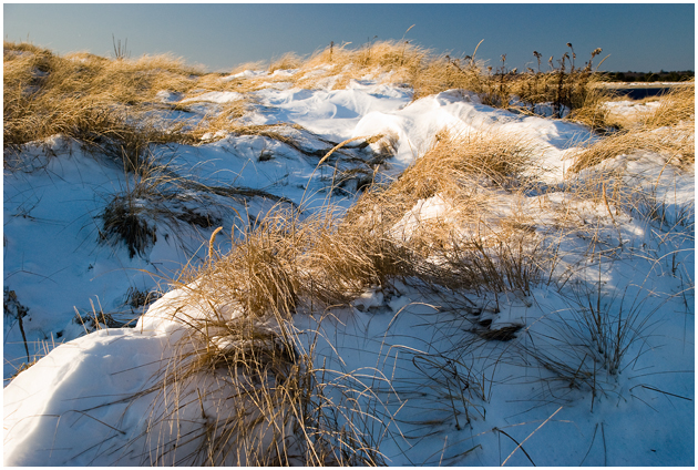 Beach Dunes with Snow, Plum Island, Massachusetts